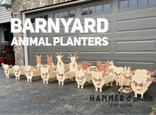 Animal Planters