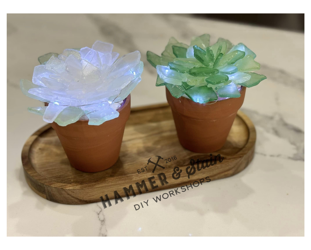 resin succulent pot Sea Glass Succulents – Hammer & Stain Laramie