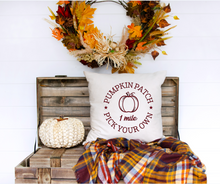 Fall/Halloween Pillows