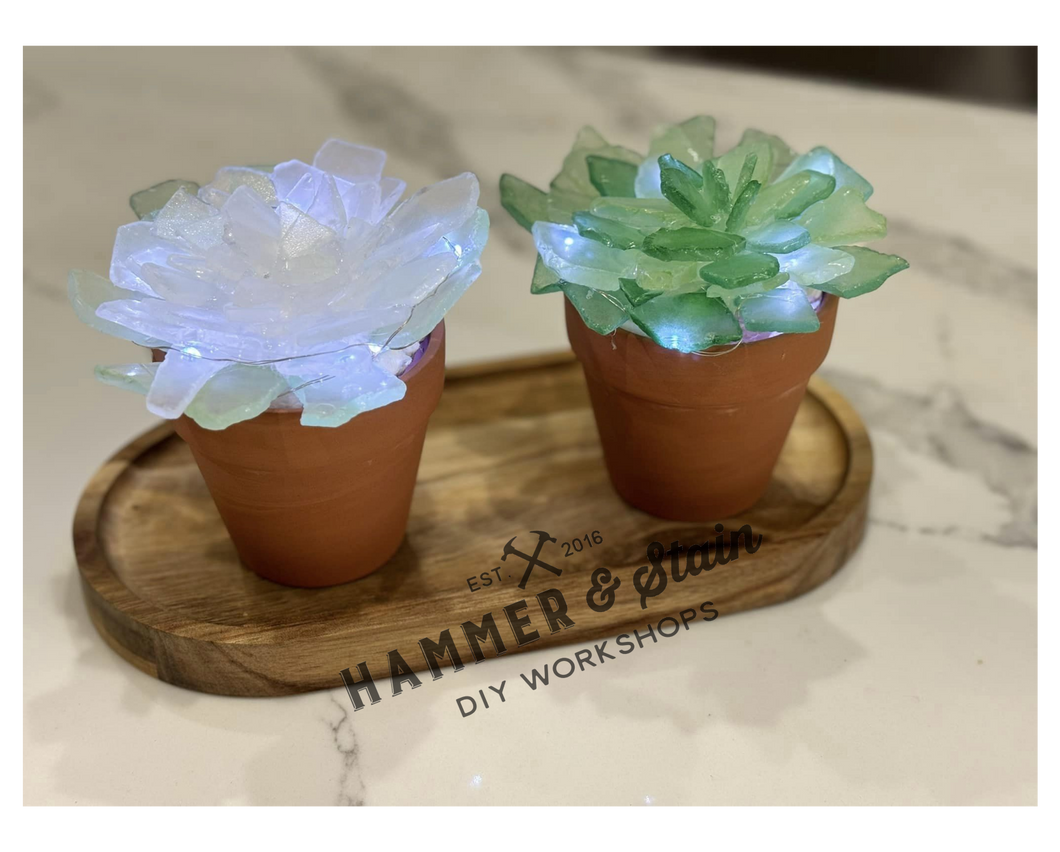 glass succulent pots Sea Glass Succulents – Hammer & Stain Laramie